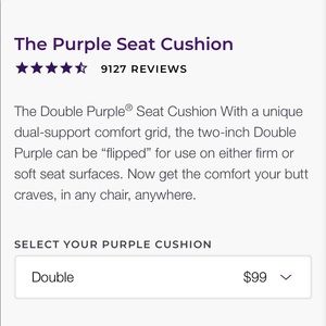 Double Purple Seat Cushion